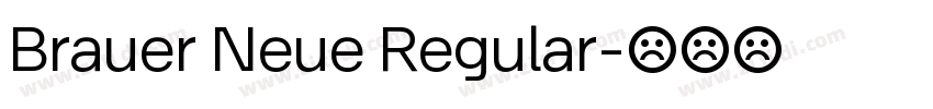 Brauer Neue Regular字体转换